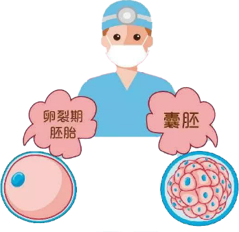 大概率的避免了试管婴儿携带遗传疾病基因,泰国试管三代技术